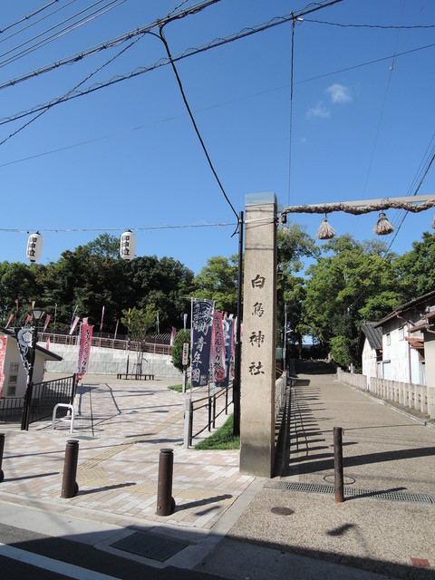 DSCN3339