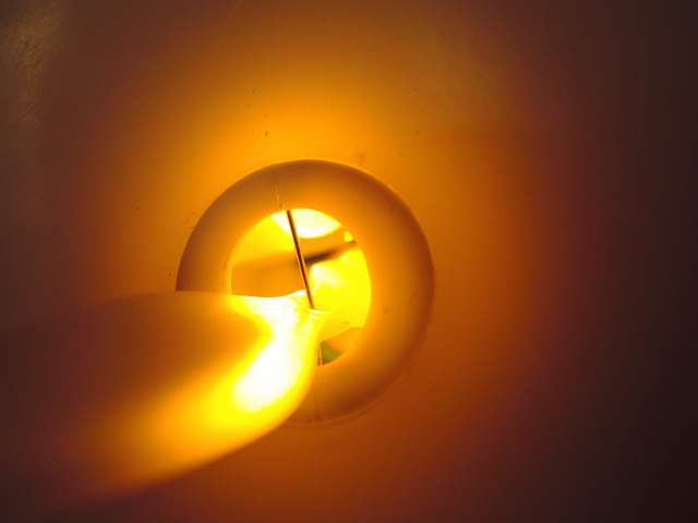 DSCN4378