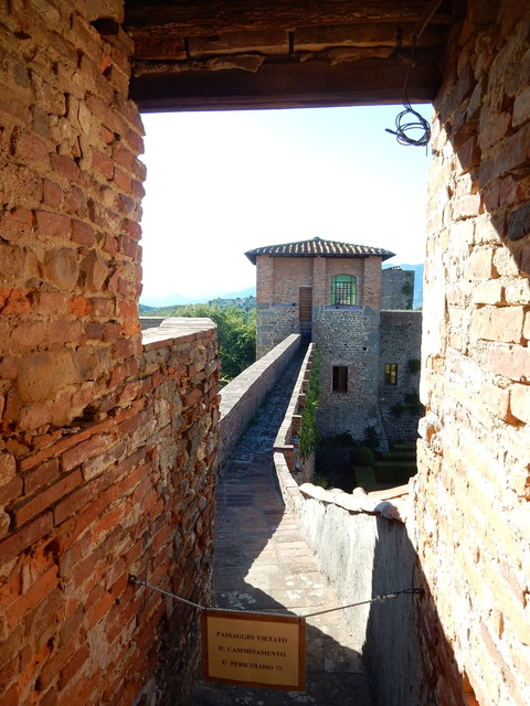 DSCN2508