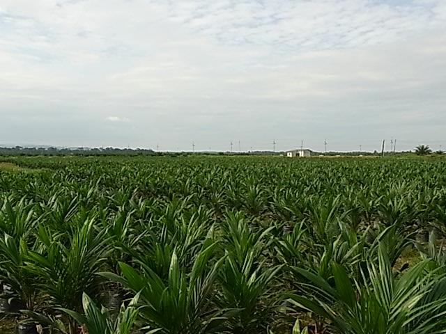 a0728d08.jpg