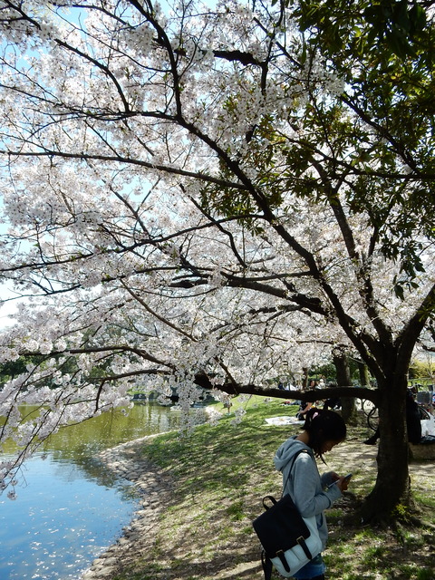 DSCN7943