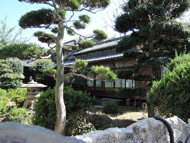 DSCN3323