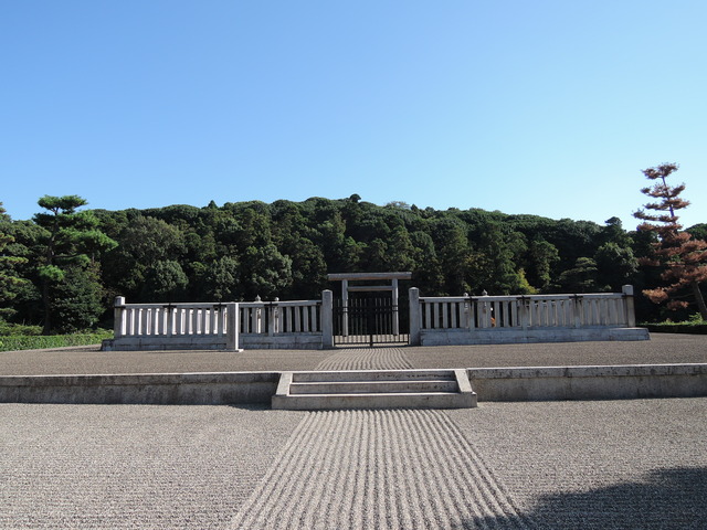 DSCN3347