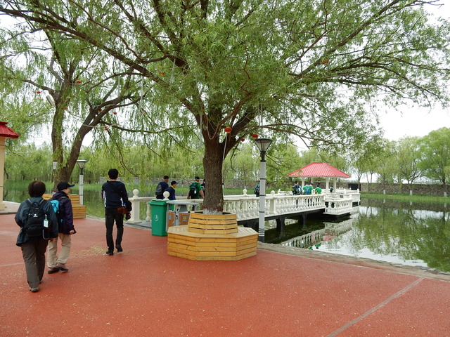 DSCN8815