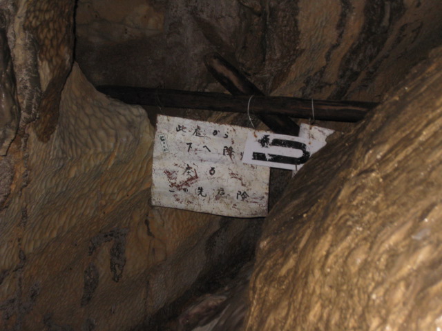 bba77911.jpg