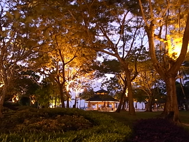 c0b8981f.jpg