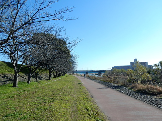 DSCN7035