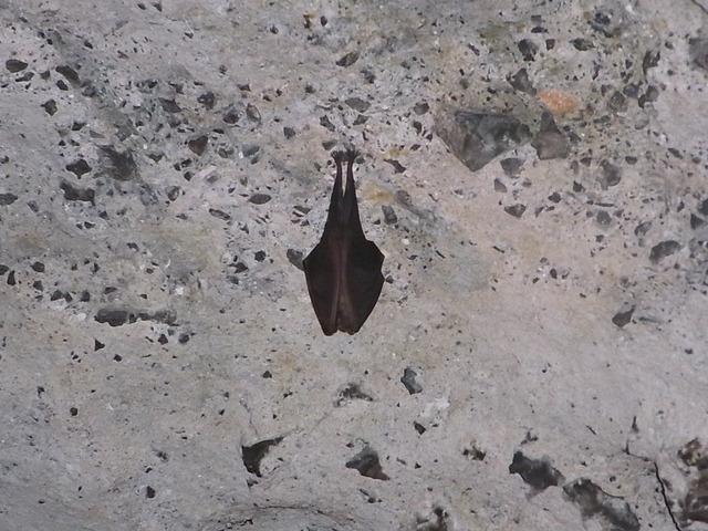 RIMG14440