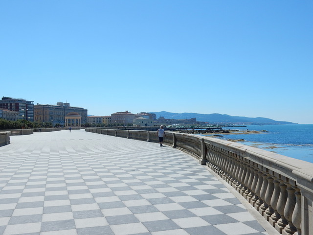 DSCN3041