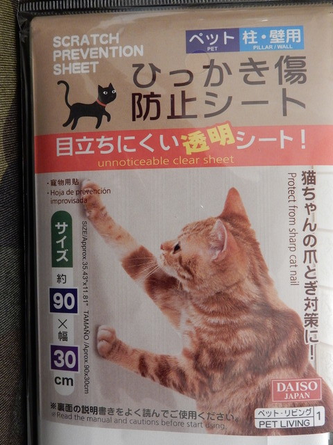 DSCN4950