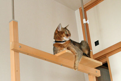IMG_8821web