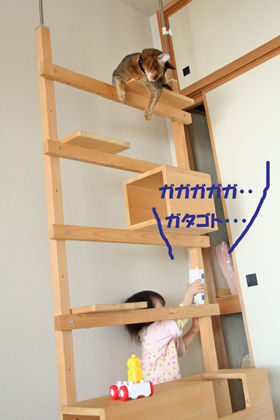 IMG_8827web