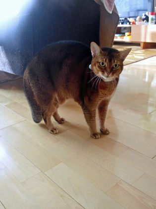 DSC_0054web