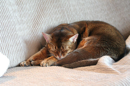 IMG_8641web