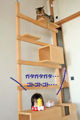 IMG_8823web