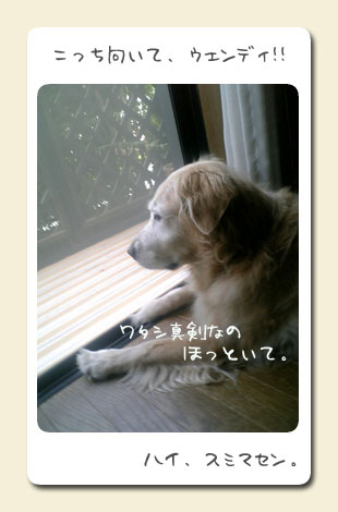 20060921_WENDY.jpg