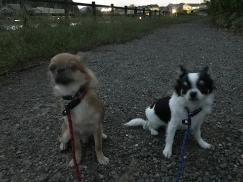 20160925_091443444_iOS
