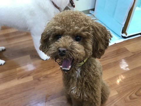 20170723_055150490_iOS