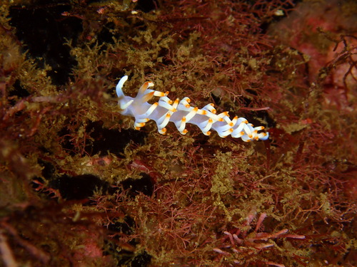 P9210523