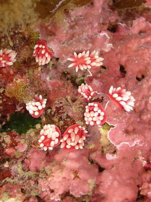 P9210520