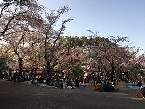 18033156