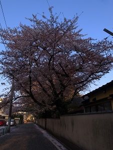 18033187