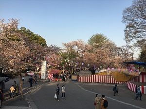 18033153