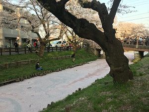 18033165