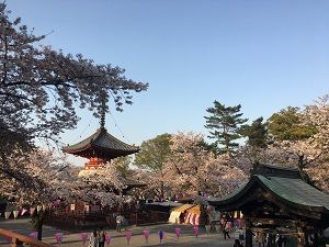 18033159