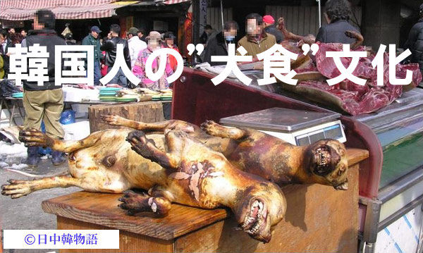 ●●●　チョンは劣等凶悪民族　その２YouTube動画>10本 ->画像>91枚 