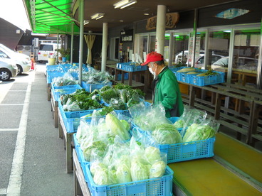 �դ줢���Ծ�