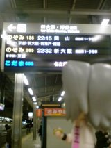 47488102.jpg