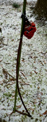 en_05