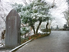 ten_01