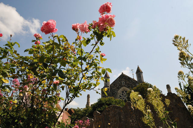 Rye (1)