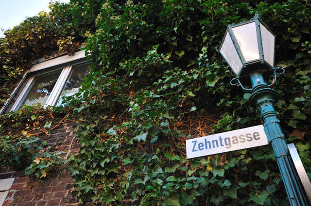zons (3)