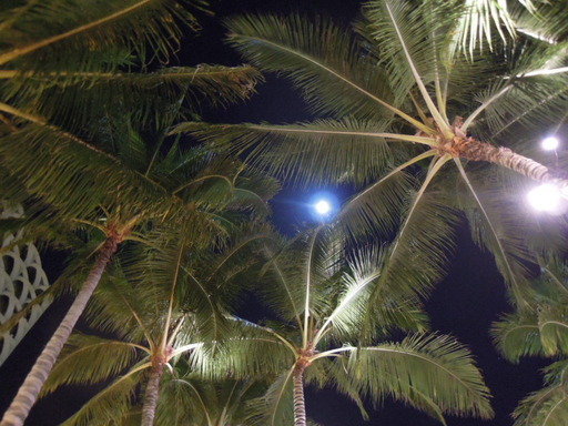 Nikon ニコン COOLPIX P300で撮影  ハワイ・ワイキキ 夜空　月の画像