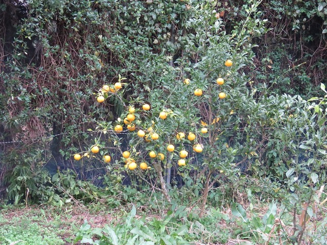 069
