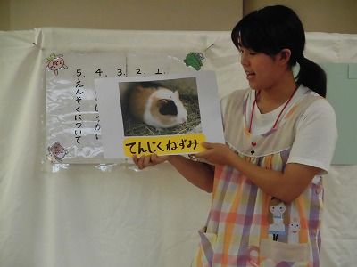 SMALL-CIMG2812