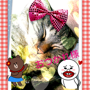 2012-05-09-17-21-28_deco