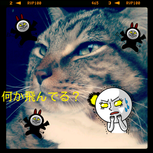 2012-05-06-18-48-32_deco