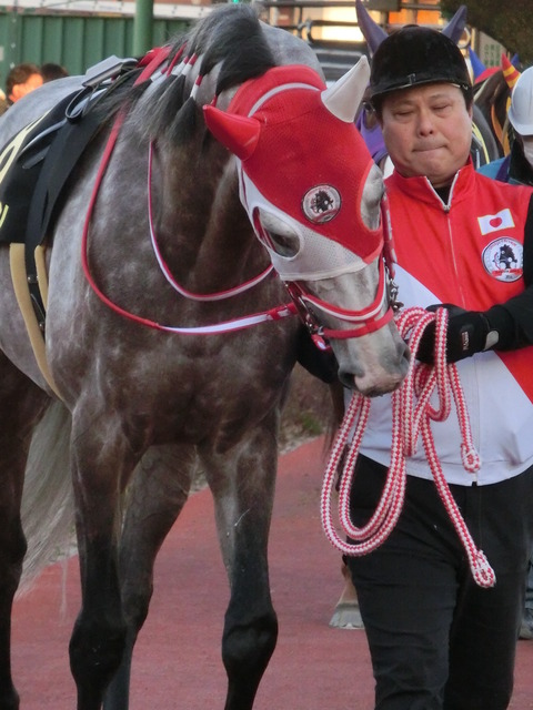 mozuraijin11