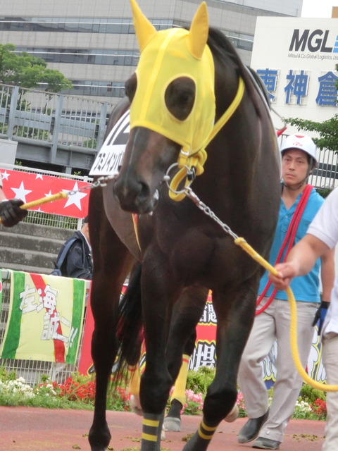 CIMG8327