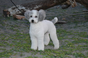 7dd0a2a3.jpg