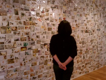 IMAG0518
