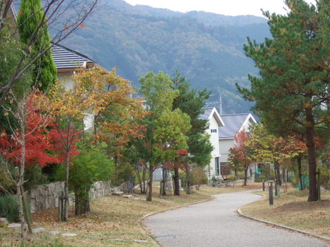 紅葉 緑道