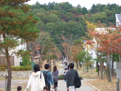 緑道をさんぽ