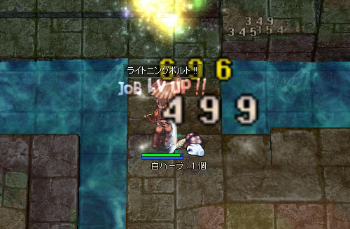 Job39〜♪