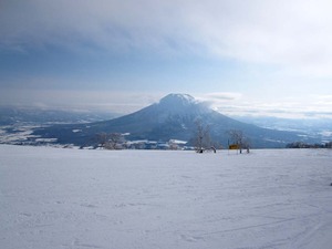 yotei3
