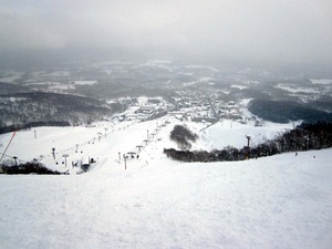 hirafu1